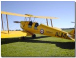 Tiger Moth at Ardmore Airport, Auckland